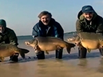 Aan Taylor and Kevin Maddocks Catch Over a Ton of Carp from Lac du Der Aan Taylor and Kevin Maddocks Catch Over a Ton of Carp from Lac du Der