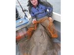 SSACN show How to Handle Common Skate SSACN show How to Handle Common Skate