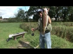 Double Figure Trout at Dever Springs