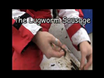 The Lugworm Sausage The Lugworm Sausage