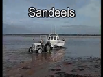Sandeels Sandeels