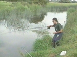 The Enigmatic Barbel with Matt Hayes The Enigmatic Barbel with Matt Hayes