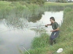 The Enigmatic Barbel with Matt Hayes