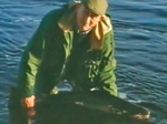 Salmon: Catch and Release Salmon: Catch and Release