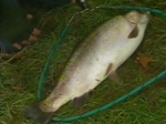 Off the Hook with Paul Meredith - Trout Fishing Off the Hook with Paul Meredith - Trout Fishing