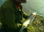 John Wilson Fishes for Sea Trout in Sweden John Wilson Fishes for Sea Trout in Sweden