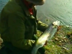 John Wilson Fishes for Sea Trout in Sweden