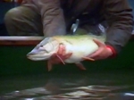 John Wilson Explores and Fishes in East Anglia John Wilson Explores and Fishes in East Anglia