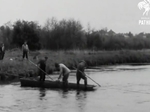 1952 Electro Fishing