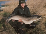 Neville Fickling - Piking Around Neville Fickling - Piking Around