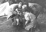 Richard Walker weighing a fish